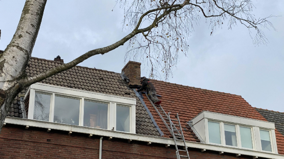 Het rommelt in de wereld van lood